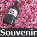 Souvenir